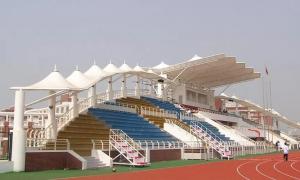 成武县膜结构体育看台